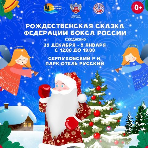 Рождественская ёлка от Федерации бокса России в Парке-отеле Русский