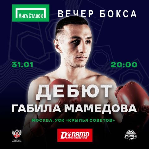 Габил Мамедов: «Давно хотел попробовать себя по профессионалам, но олимпийский бокс в приоритете»