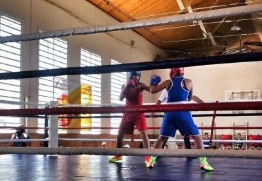 Объявлен состав сборной России по боксу среди женщин на чемпионат Европы в Испании