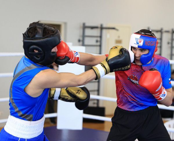 Мужская сборная команда России завершила тренировочный сбор в Кисловодске