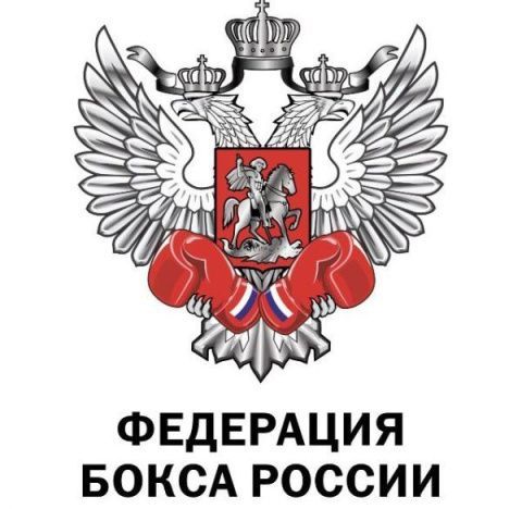 Исполком Федерации бокса России утвердил устав фонда «Бокс помогает»