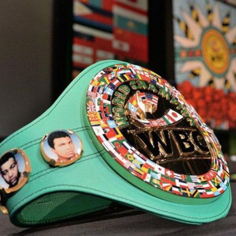 Четверо российских боксеров вошли в Топ-15 рейтинга новой весовой категории WBC