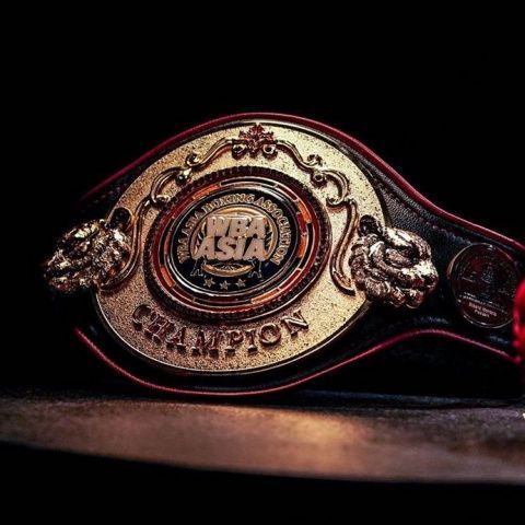 Лидеры мировых боксерских организаций поздравляют с Международным днем бокса