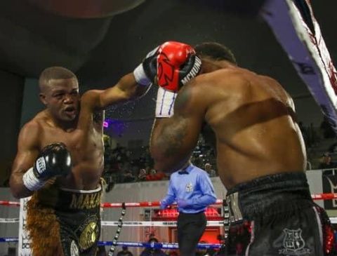 АЛЬВАРЕС В СЛЕДУЮЩЕМ БОЮ, ВИДИМО, ДЕРЕТСЯ С МАКАБУ