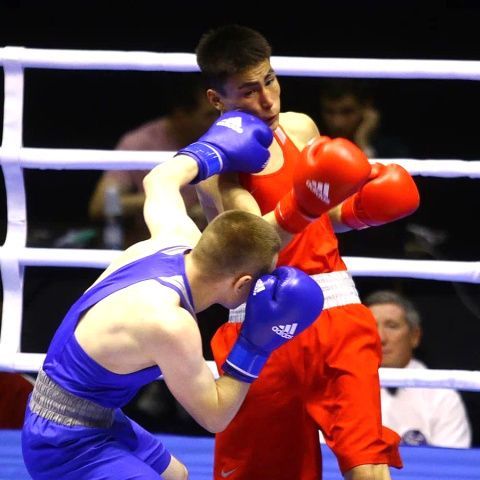 В Ульяновске стартовал турнир по боксу в рамках финального этапа Универсиады