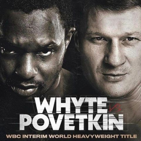 Поветкин, Уайт и Гатти между ними