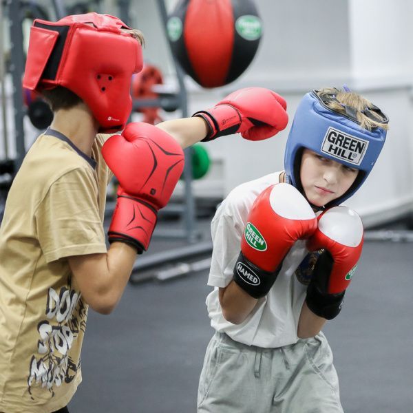 В Иркутске бокс будет введен в обязательную школьную программу обучения