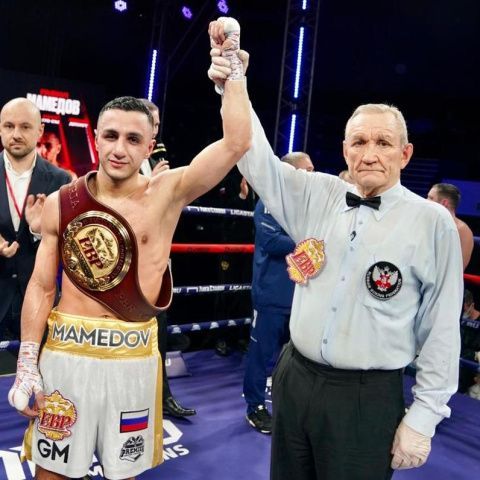 Габил Мамедов успешно дебютировал на профессиональном ринге